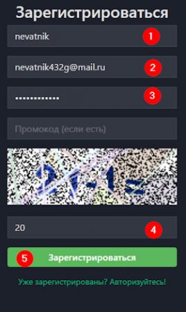 Форма регистрации