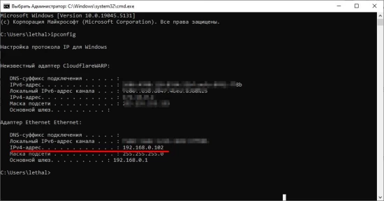 IP в командной строке